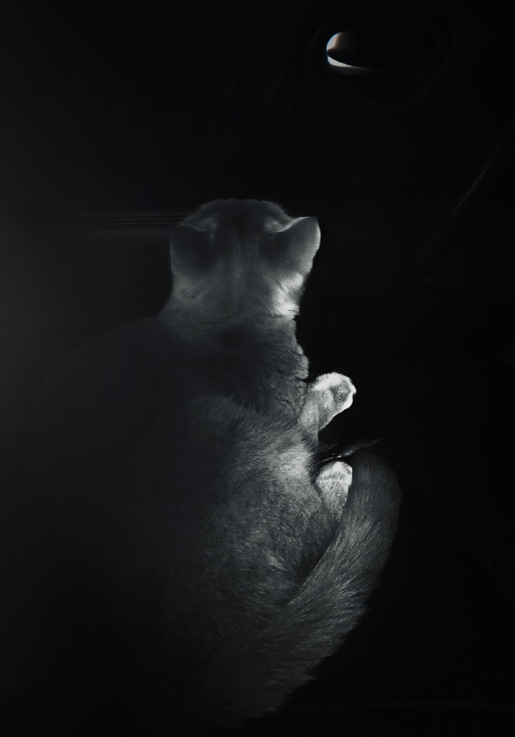 Photo #5160087