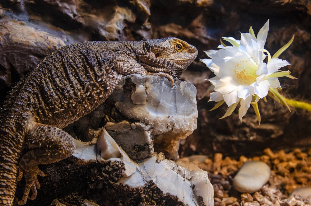 Photograph by Сергей Абрамов