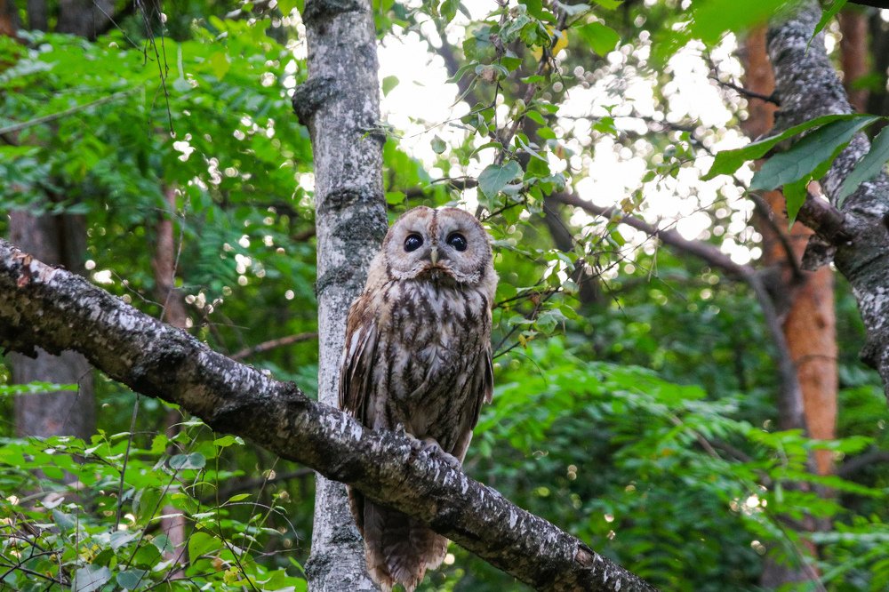 Photograph by Дмитрий Тимин