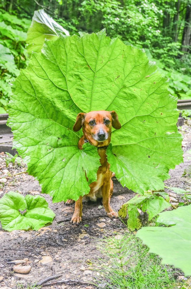 Photograph by Сергей Абрамов