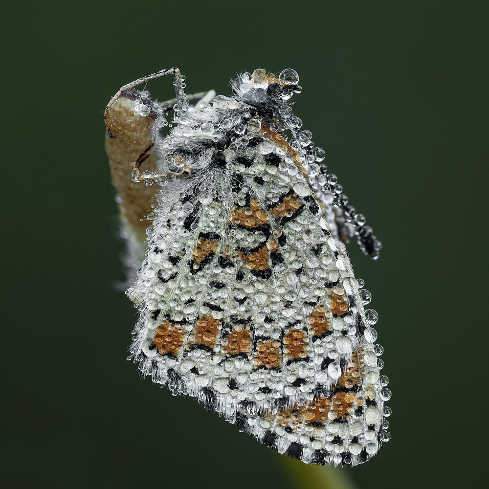 Фотография автора Игорь ФУММ