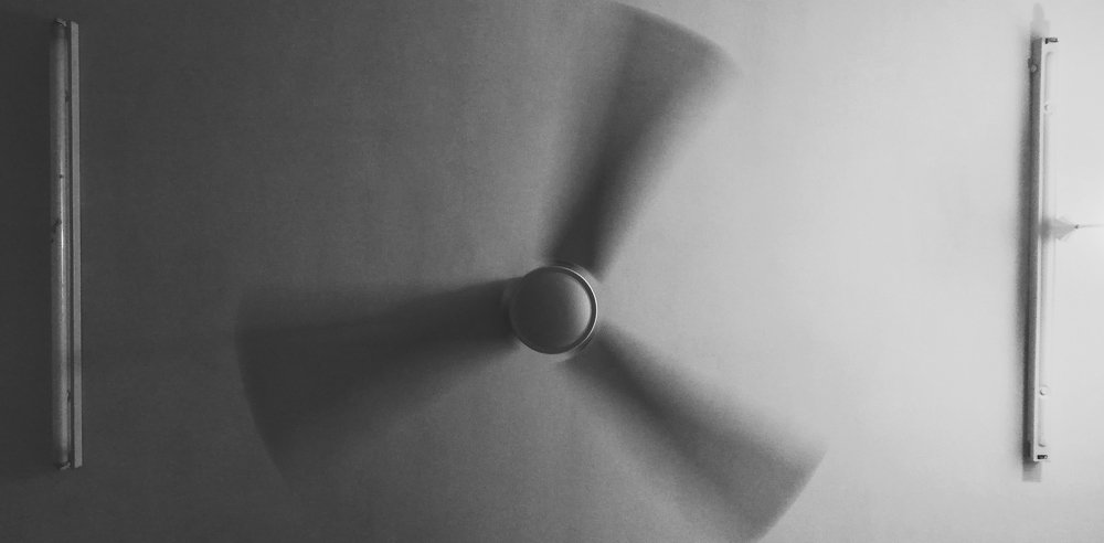 Photograph by Alireza Shahabi