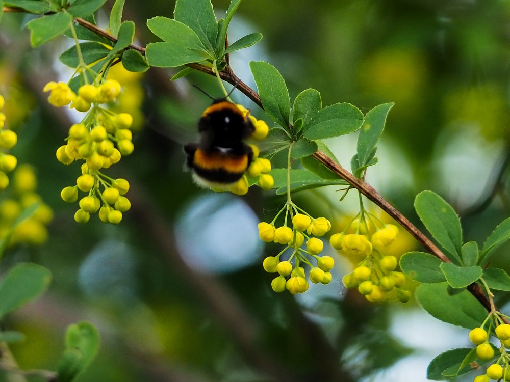 Photograph by Elena Khalizova