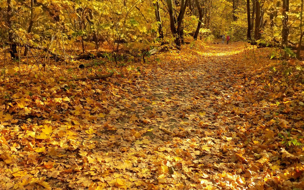 Photograph by Сергей Рудаков