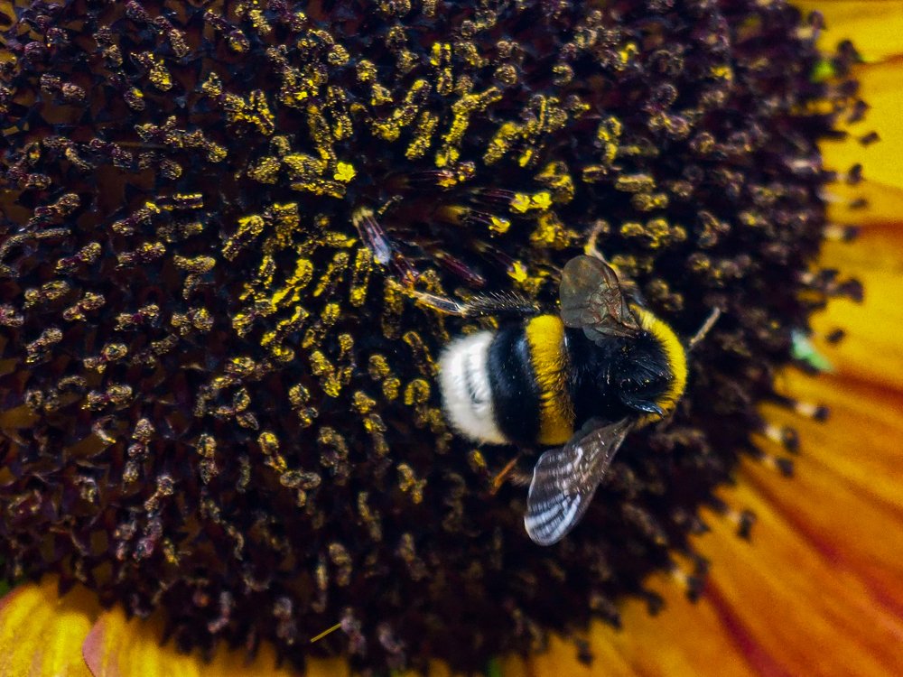 Photograph by Elena Khalizova