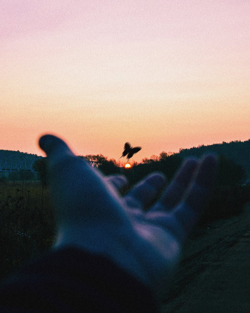 Photograph by Андрей Азорский