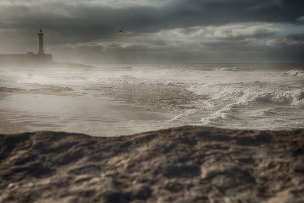 Фотография автора Bogdan Negoita