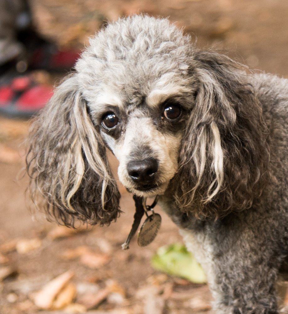 Photograph by Михаил Кравченко