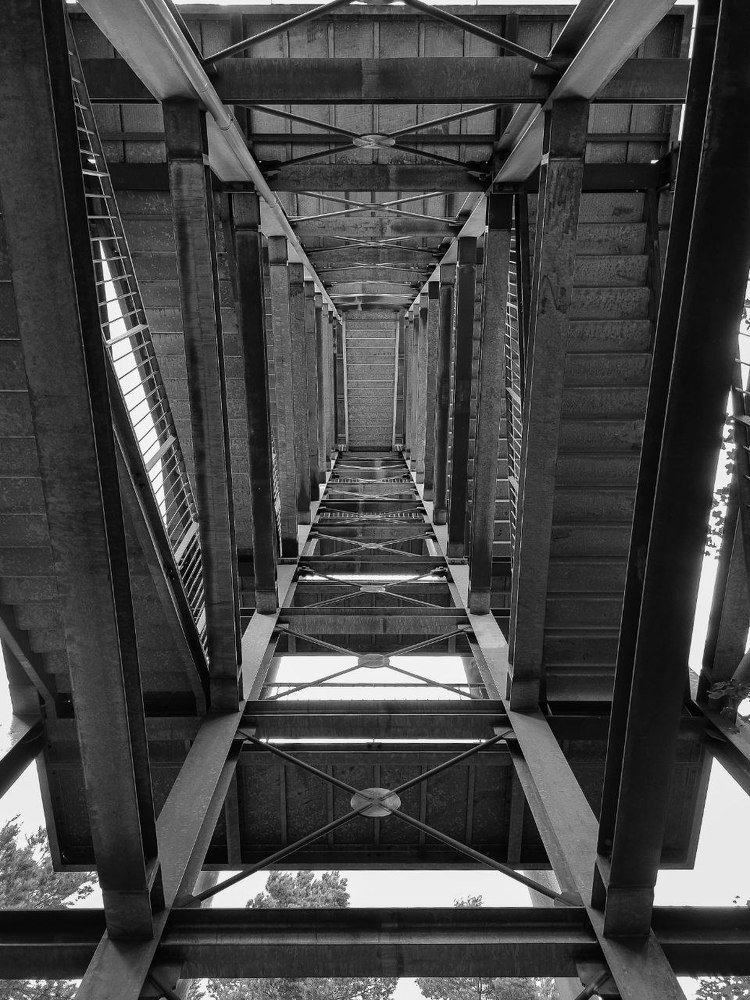 Фотография автора Mansoor Heydaryan