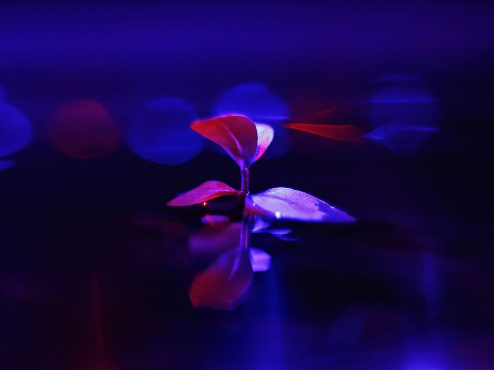 Фотография автора Mansoor Heydaryan