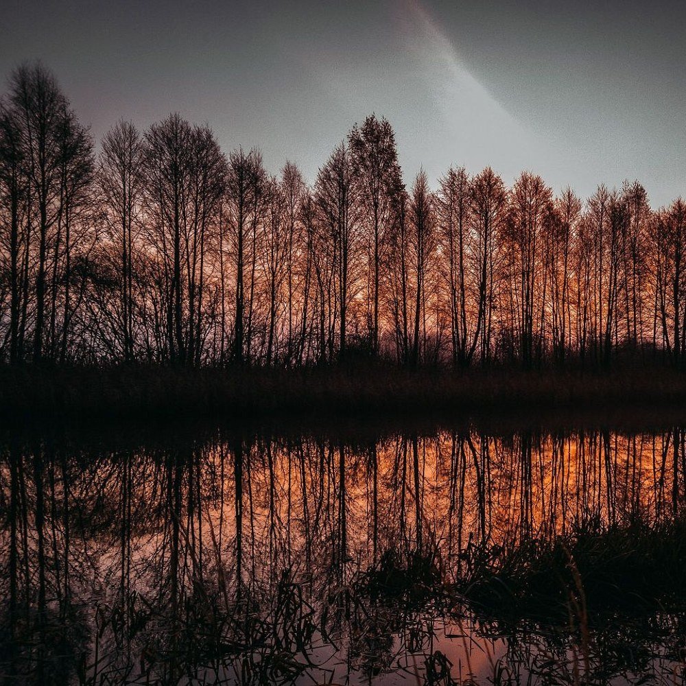 Фотография автора Mansoor Heydaryan