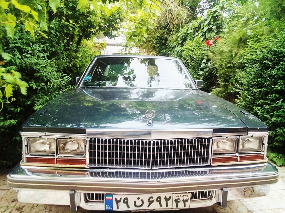 Фотография автора Mansoor Heydaryan