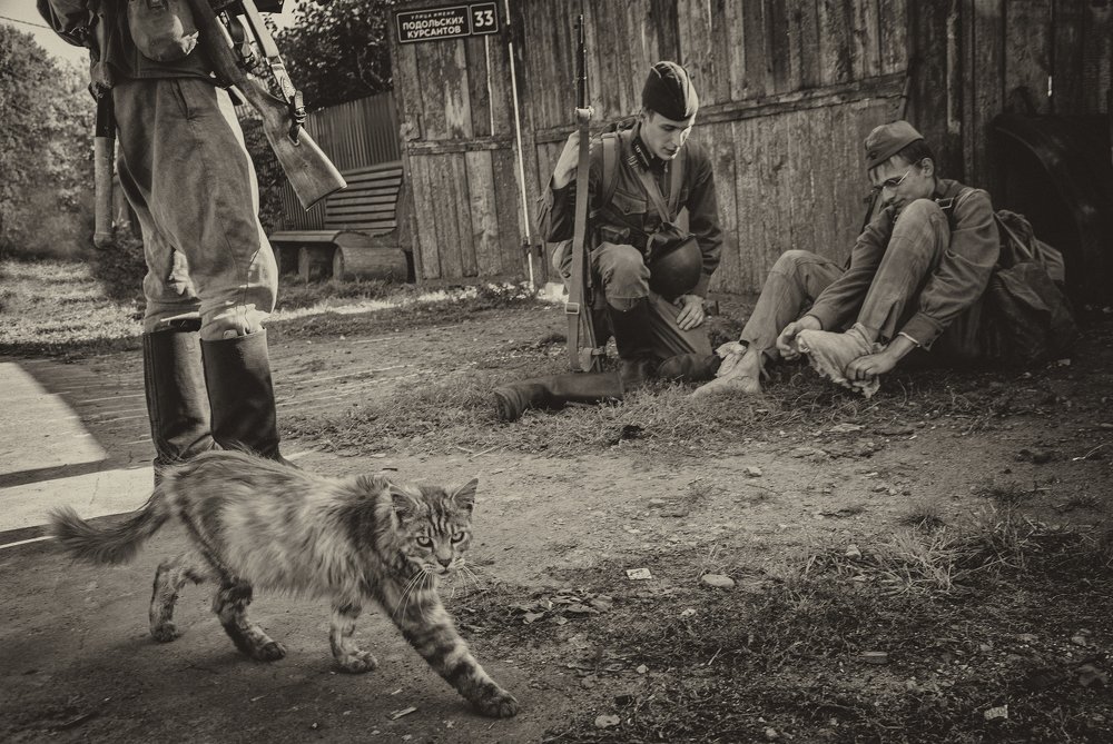 Photograph by Vitaly  Podgurchenko