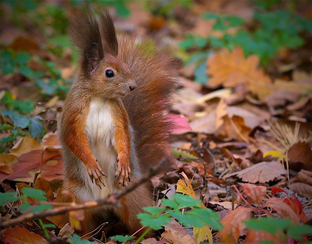 Photograph by Nataliya Mochernyuk