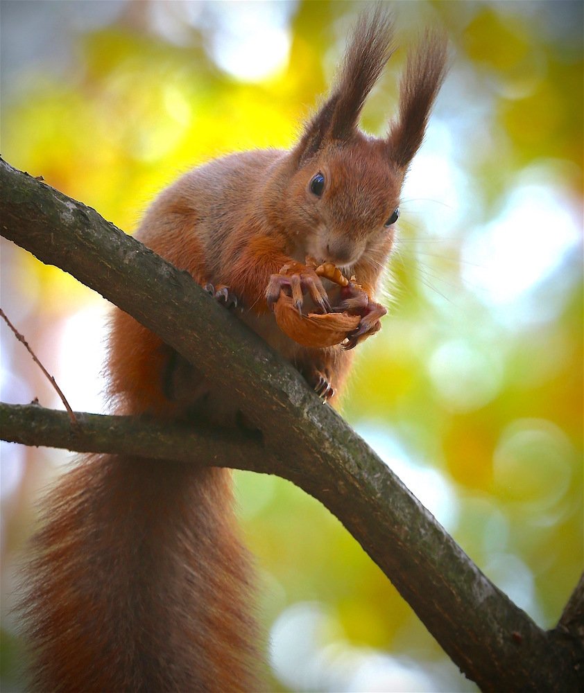 Photograph by Nataliya Mochernyuk