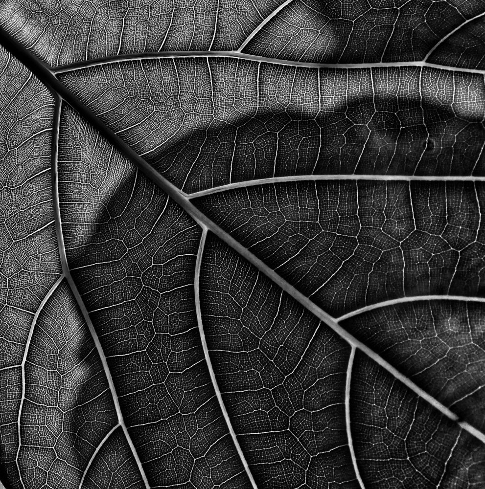 Photograph by Людмила М