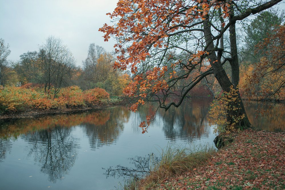 Photograph by Alexey Belov