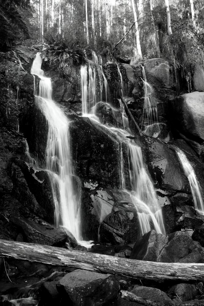 Photograph by Shrinivas Kulkarni