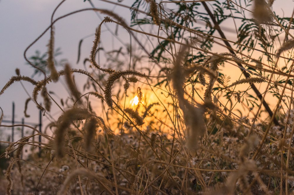 Фотография автора Sankalp Suradkar