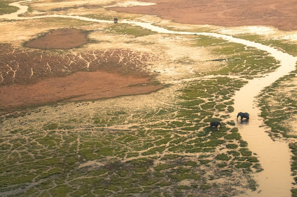 Photograph by THEODORE MATTAS