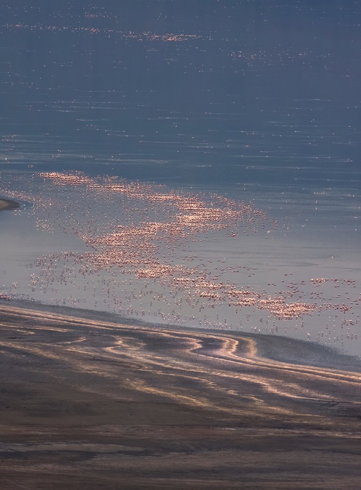 Photograph by THEODORE MATTAS