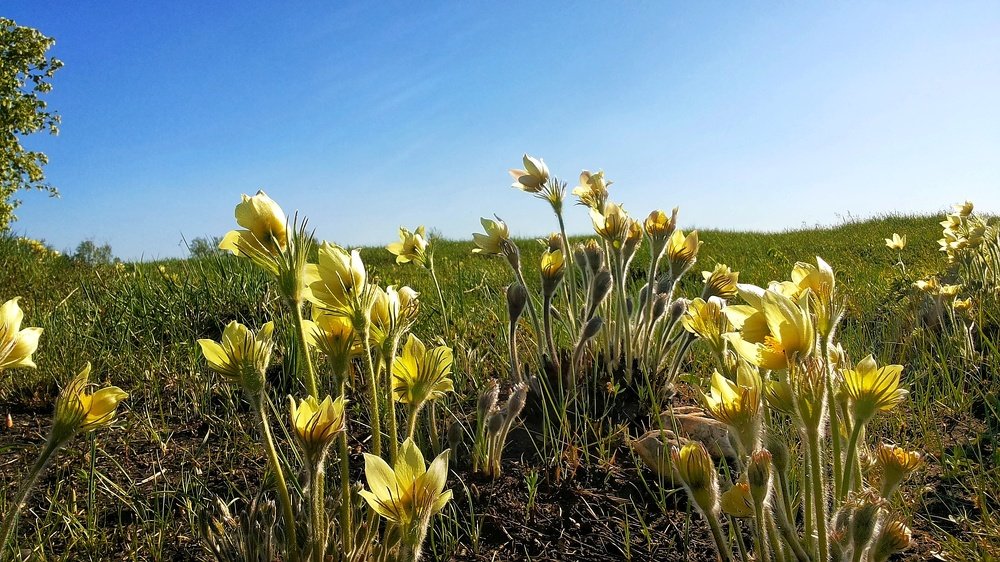 Солнечный ветер.