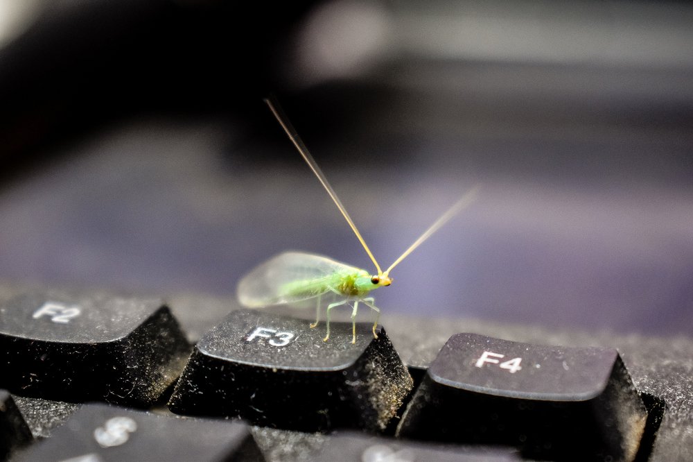 Фотография автора Sankalp Suradkar