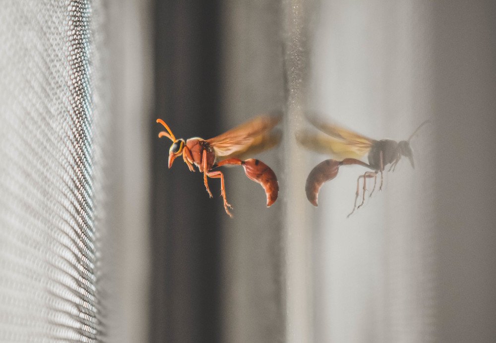 Фотография автора Sankalp Suradkar