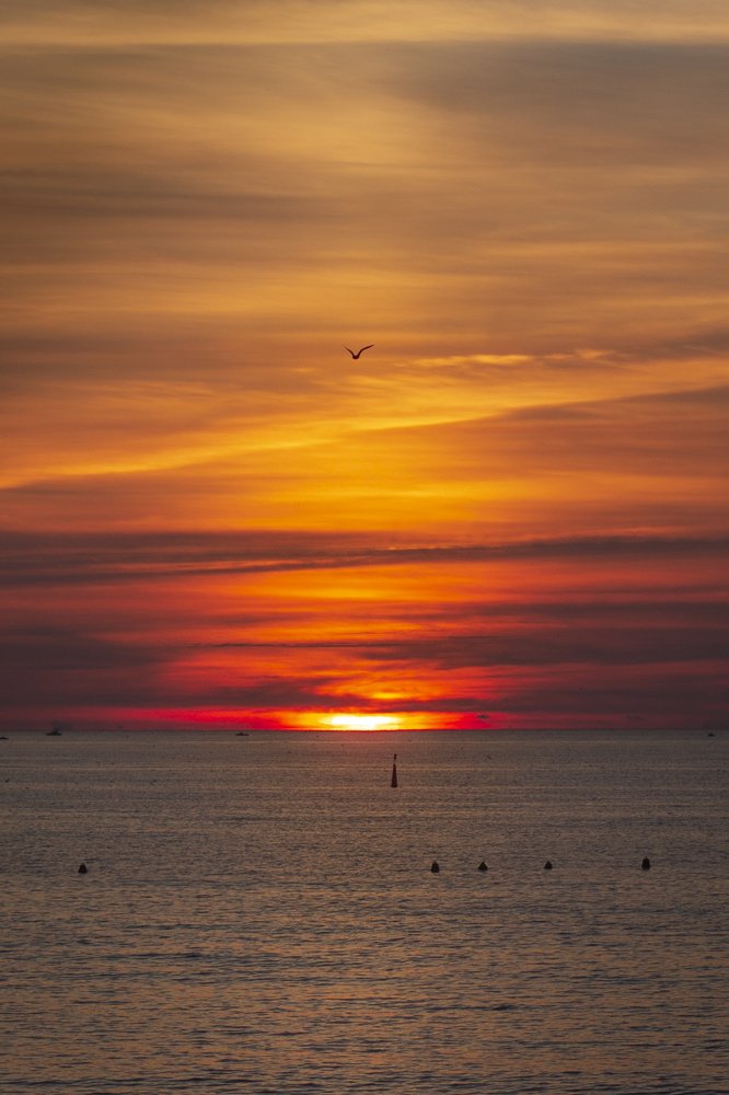 Photograph by Vladimir Soroka