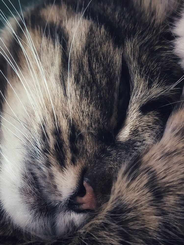 Photograph by Алеся Писнова