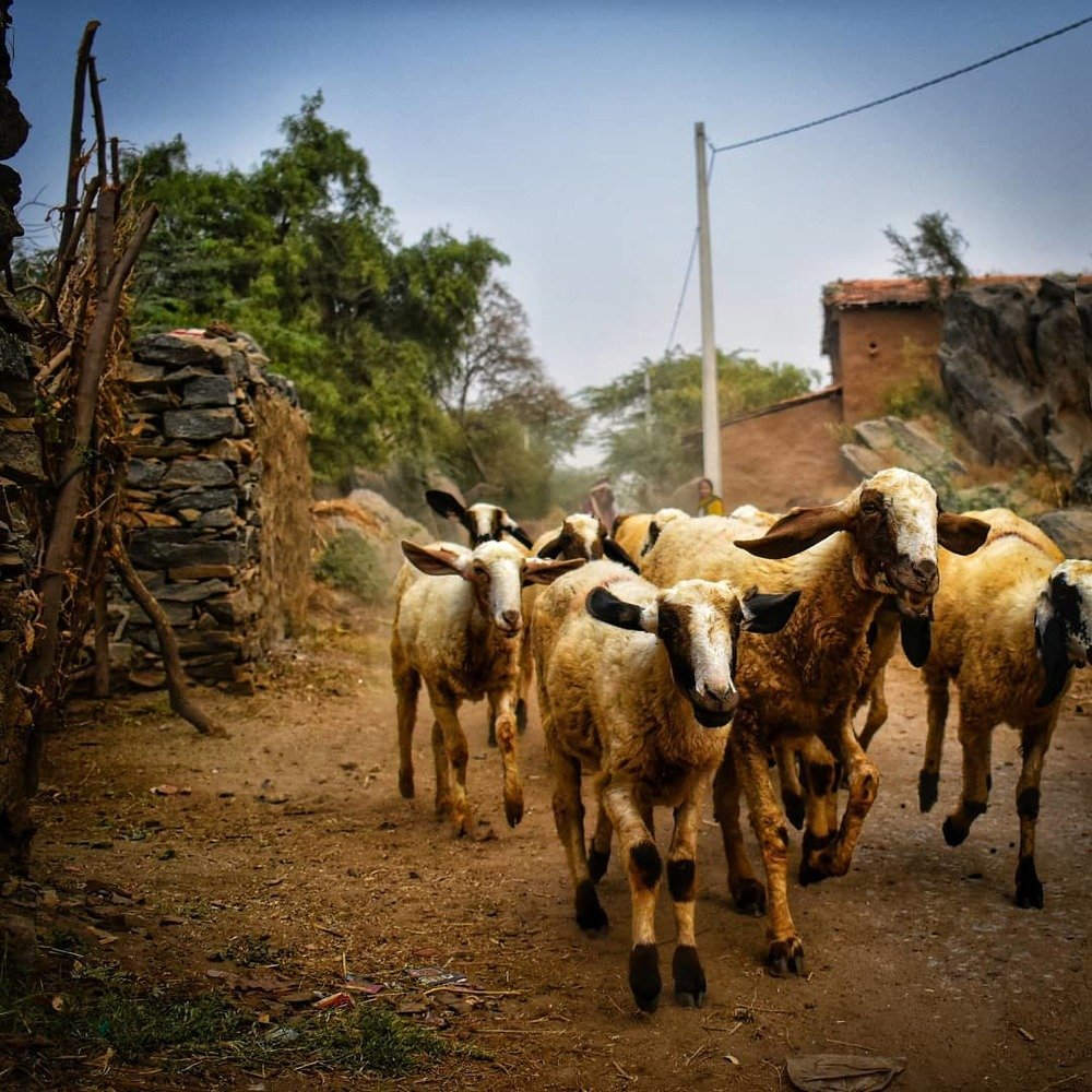 Фотография автора Sankalp Suradkar