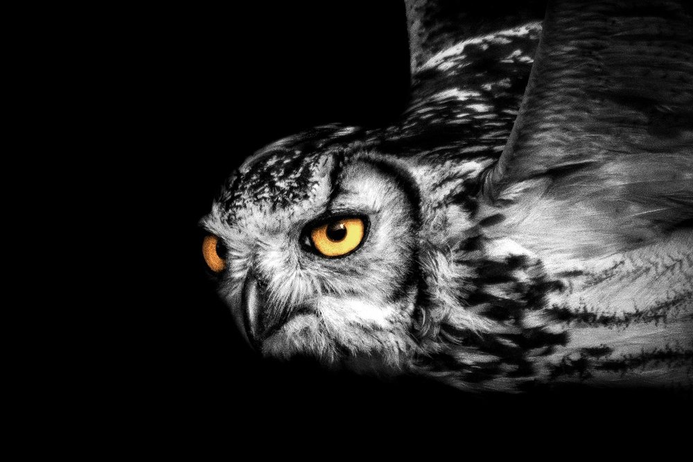 Photograph by parth kansara