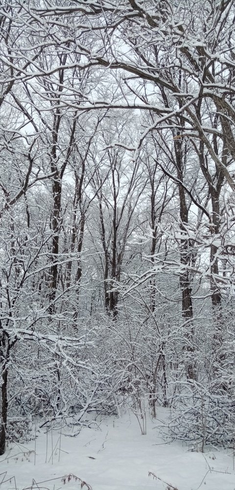 Photograph by Дмитрий