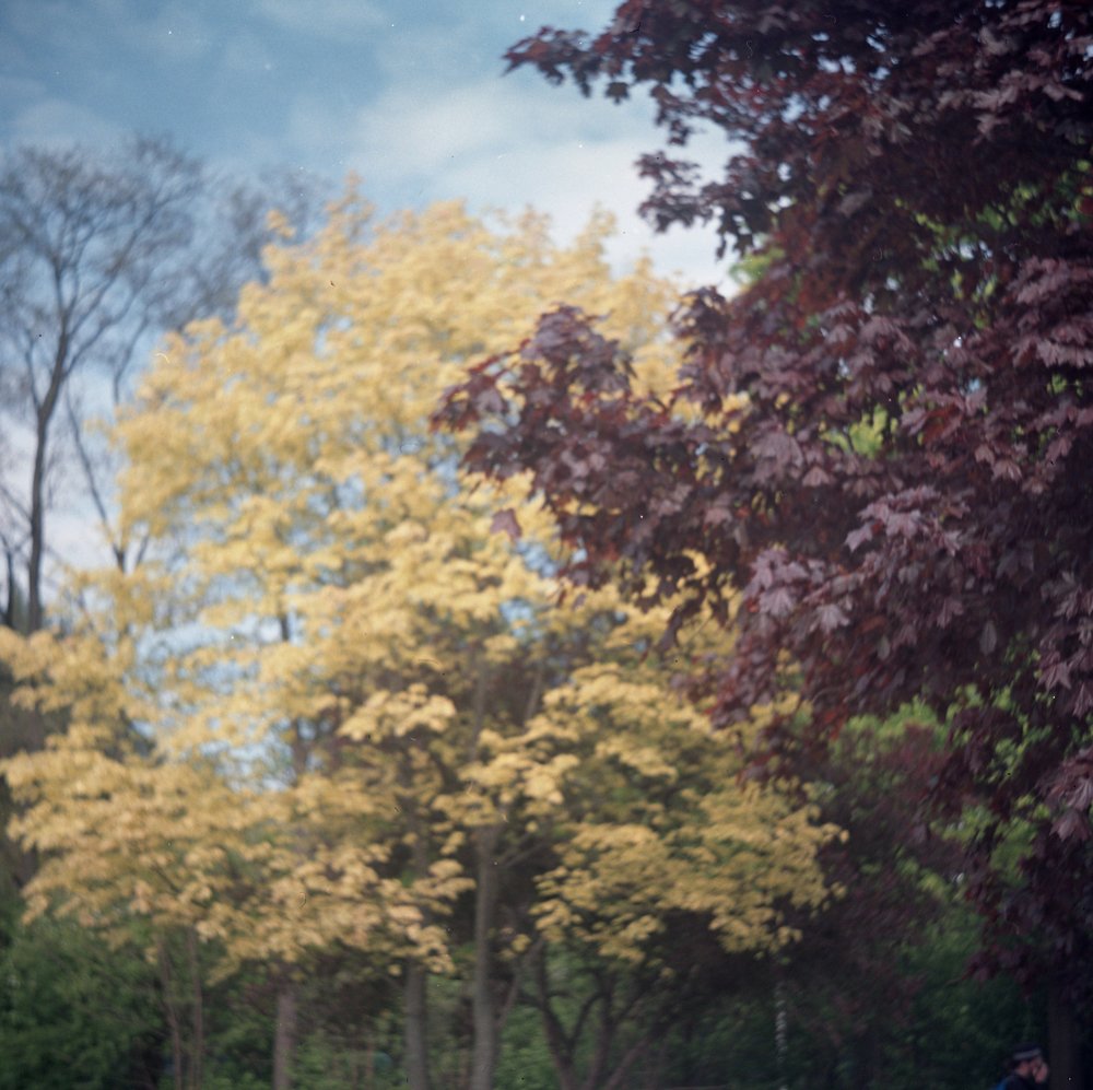 Photograph by Ольга Толяренок