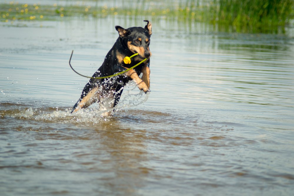 Photograph by Наталья Зорина