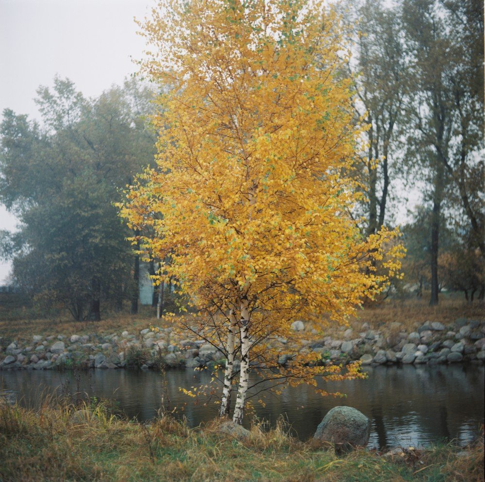 Photograph by Ольга Толяренок