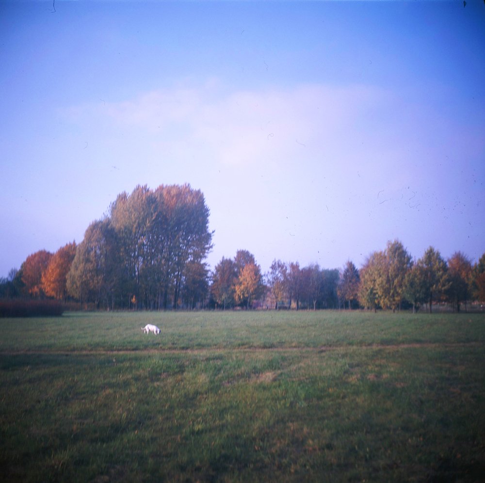 Photograph by Ольга Толяренок