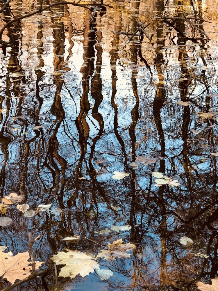 Photograph by Алена Устинович