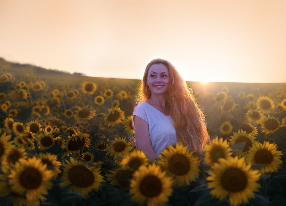 вечер в подсолнечниках( Болгария)