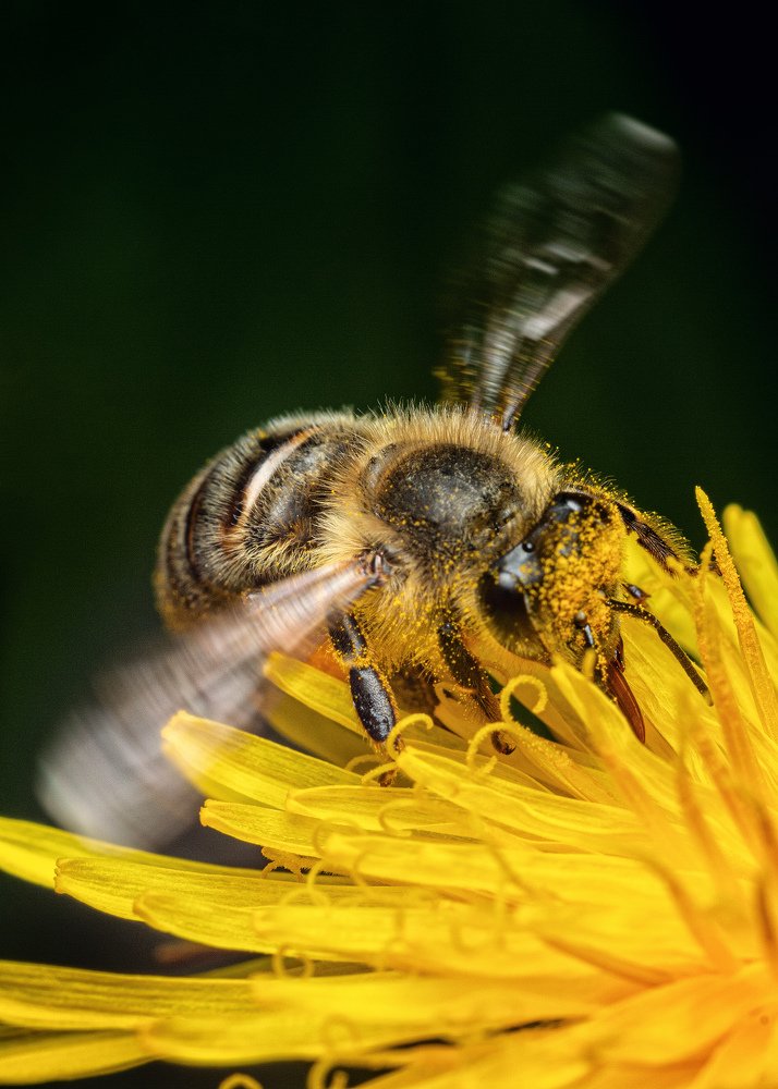 Photograph by Alexander Plaksin