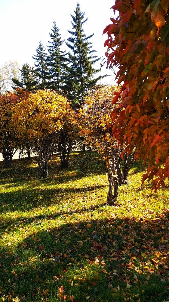 Увядание природы прекрасно!