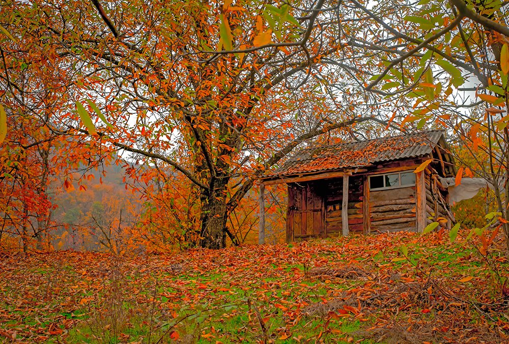 Photograph by Fargana Gasimli