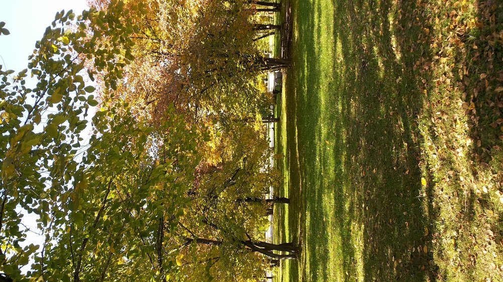 Осенью в парке