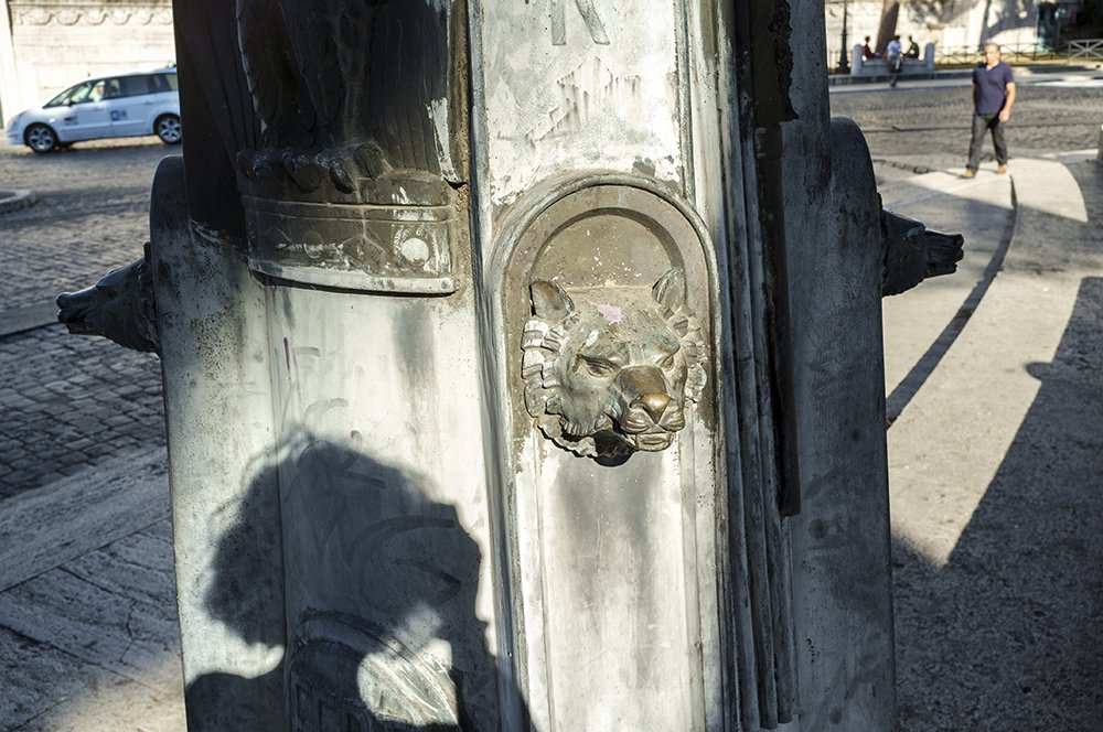Photo #5161378