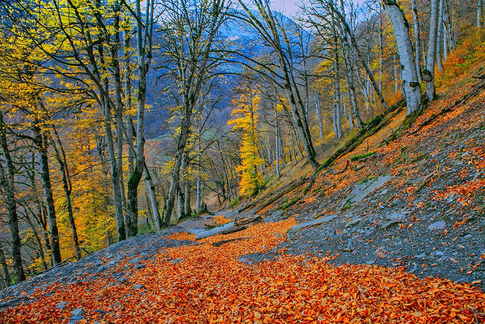 Photograph by Fargana Gasimli