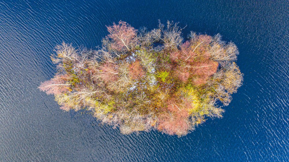 Осенний букет