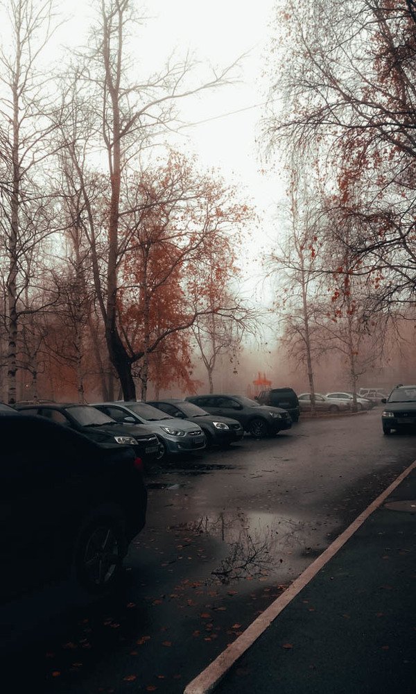 Photograph by Розита Гильманова