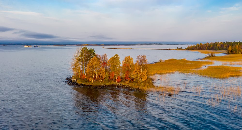 Осеннее утро