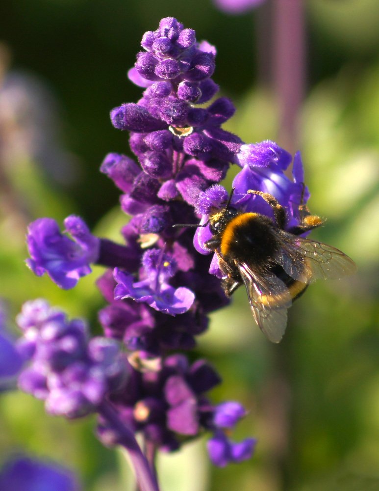 Photograph by Михаил Обертаев