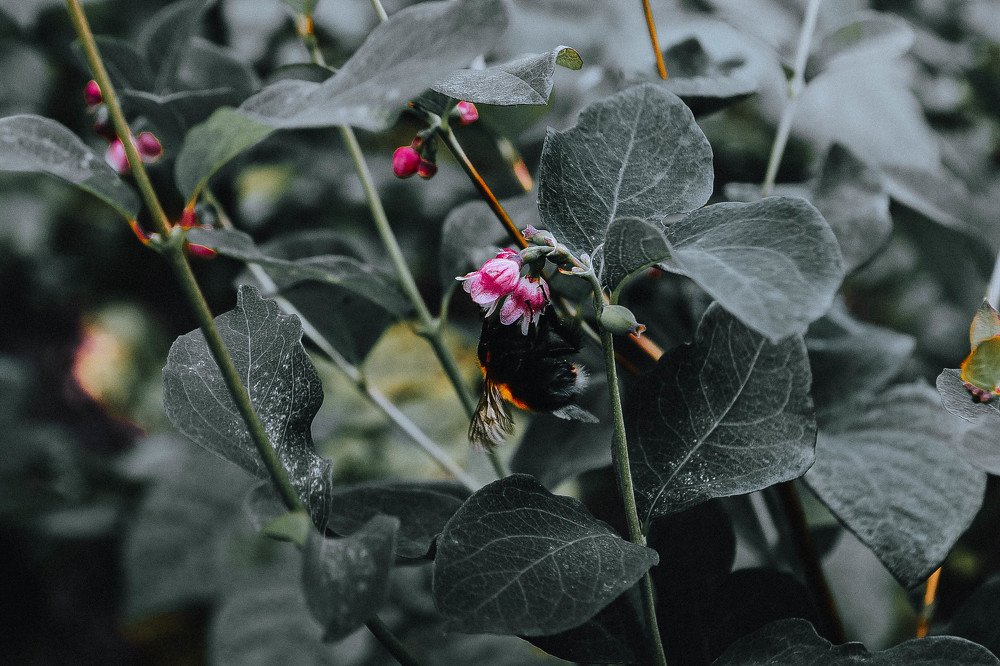 Photograph by Розита Гильманова